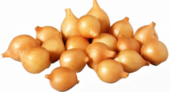 Лук севок вес